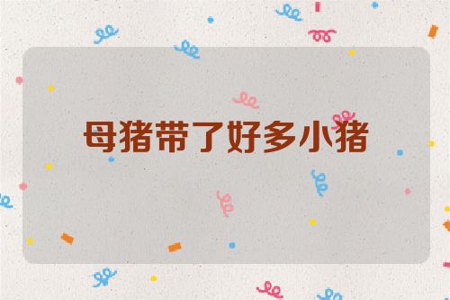 母猪带了好多小猪