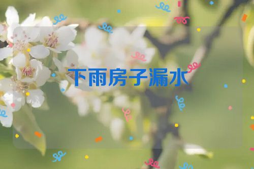 下雨房子漏水