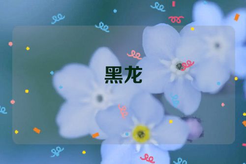 黑龙
