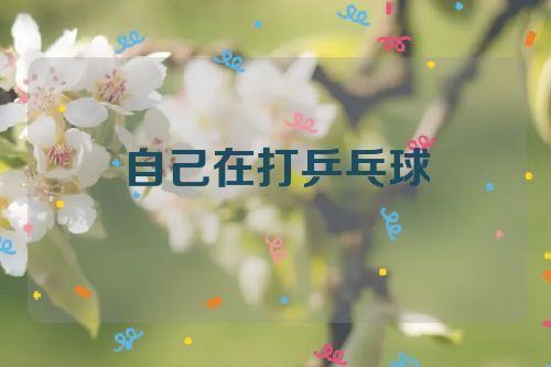 自己在打乒乓球