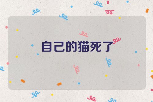 自己的猫死了
