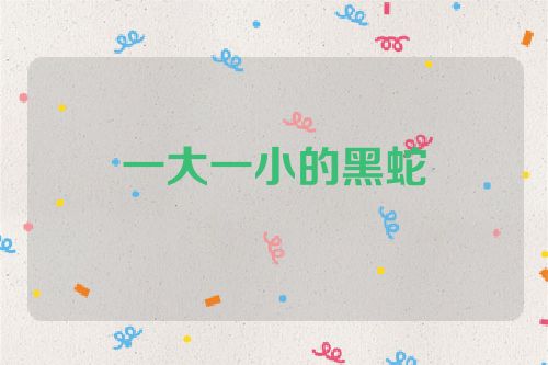 一大一小的黑蛇