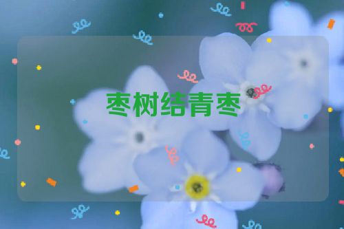 枣树结青枣