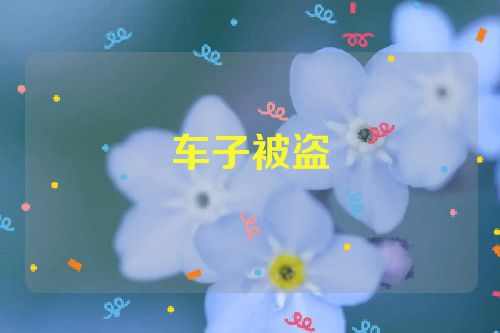 车子被盗