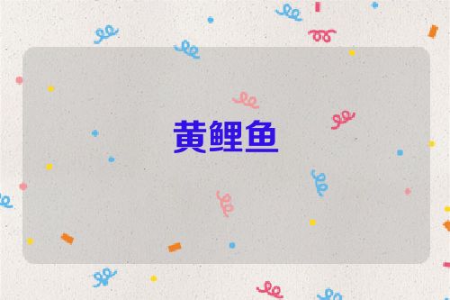 黄鲤鱼