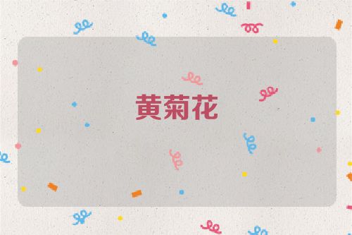 黄菊花