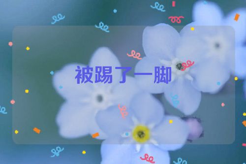 被踢了一脚