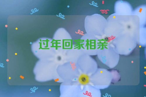 过年回家相亲