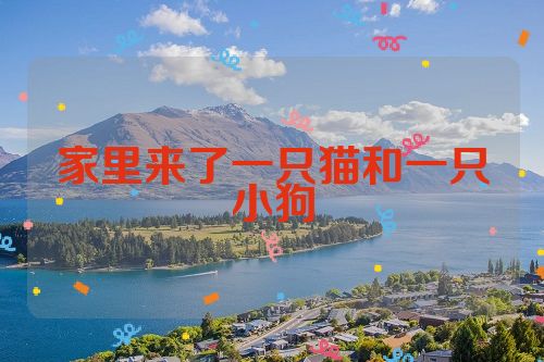 家里来了一只猫和一只小狗