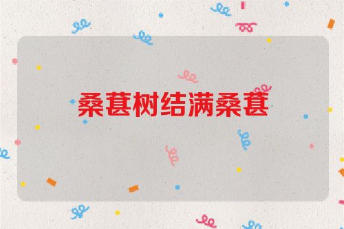 桑葚树结满桑葚