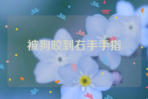 被狗咬到右手手指