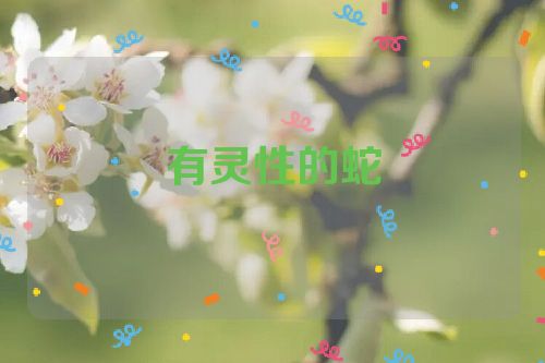有灵性的蛇