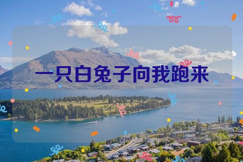 一只白兔子向我跑来