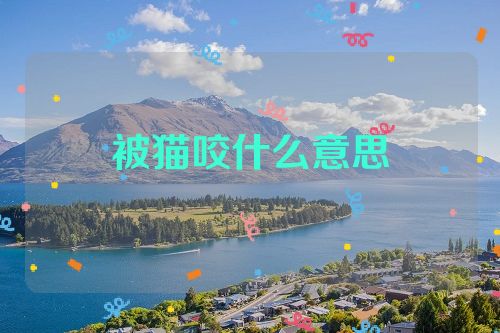 被猫咬什么意思