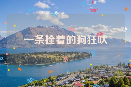 一条拴着的狗狂吠