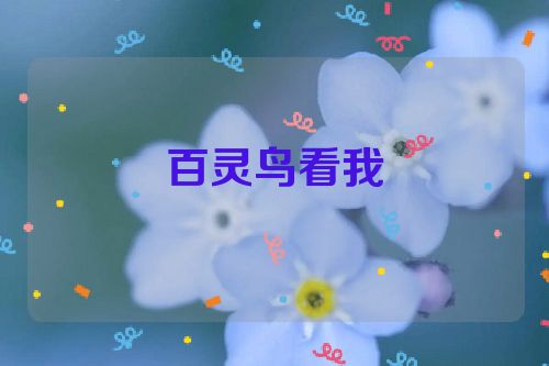 百灵鸟看我