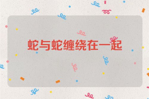 蛇与蛇缠绕在一起