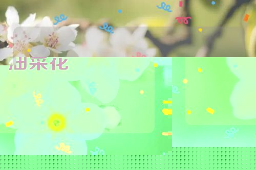 油菜花