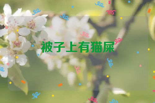 被子上有猫屎