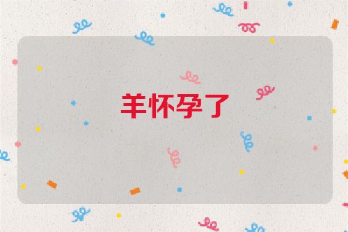 羊怀孕了