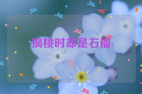 摘桃时却是石榴