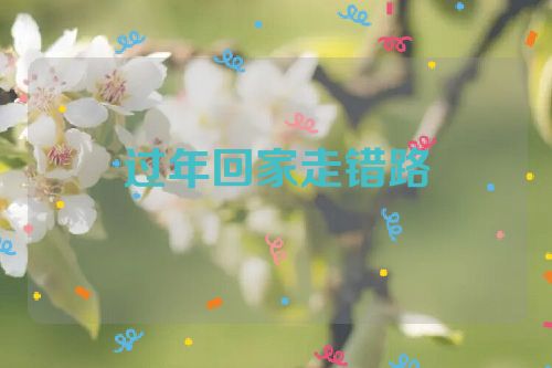过年回家走错路