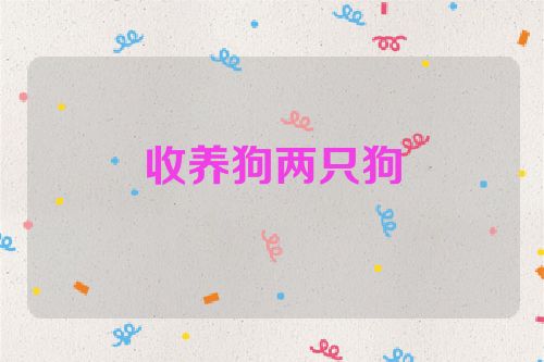 收养狗两只狗