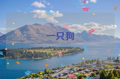一只狗