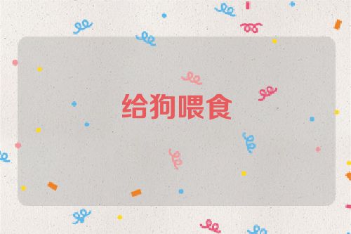 给狗喂食