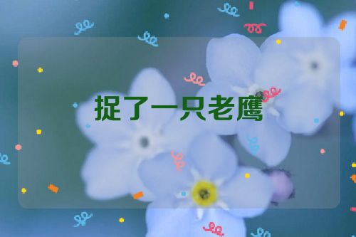 捉了一只老鹰