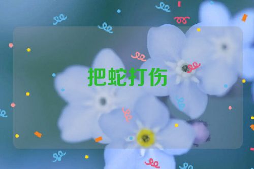 把蛇打伤