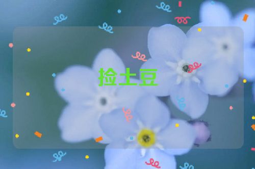 捡土豆