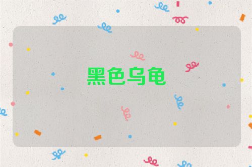 黑色乌龟