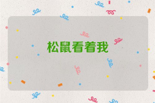 松鼠看着我