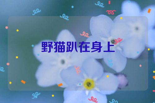 野猫趴在身上