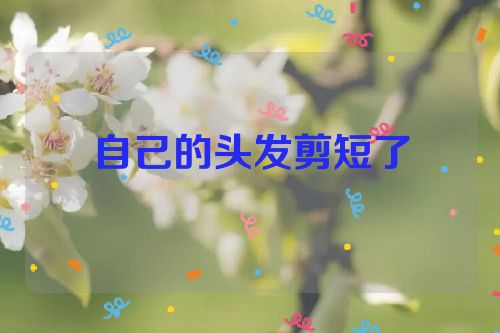 自己的头发剪短了