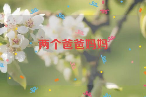 两个爸爸妈妈