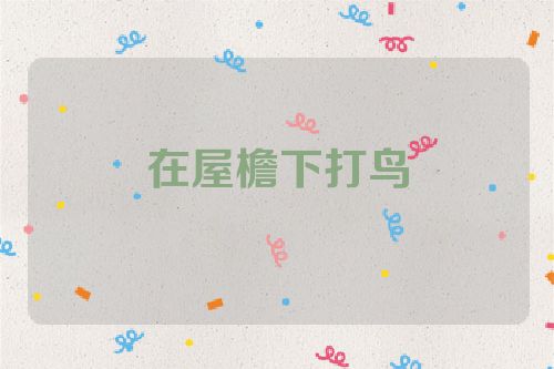 在屋檐下打鸟