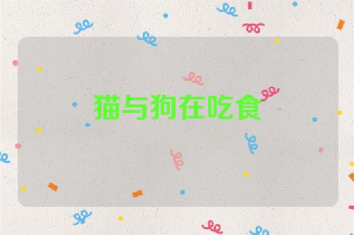 猫与狗在吃食