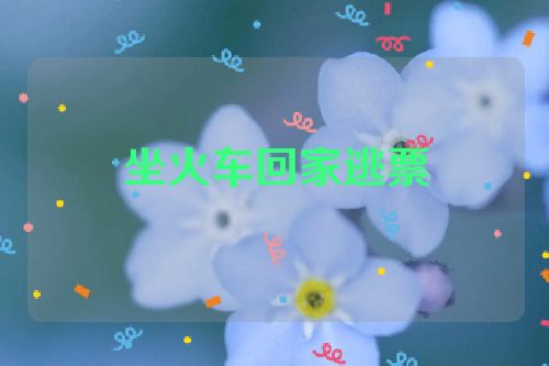 坐火车回家逃票