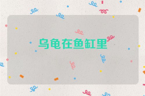 乌龟在鱼缸里