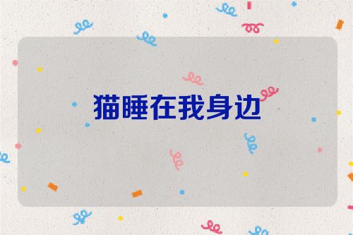猫睡在我身边