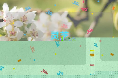 灵芝