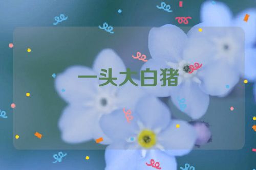 一头大白猪
