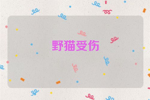 野猫受伤