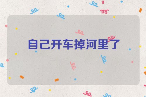 自己开车掉河里了