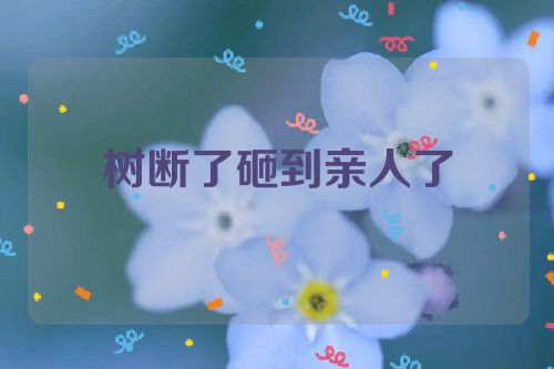 树断了砸到亲人了