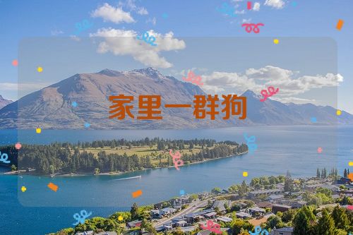 家里一群狗