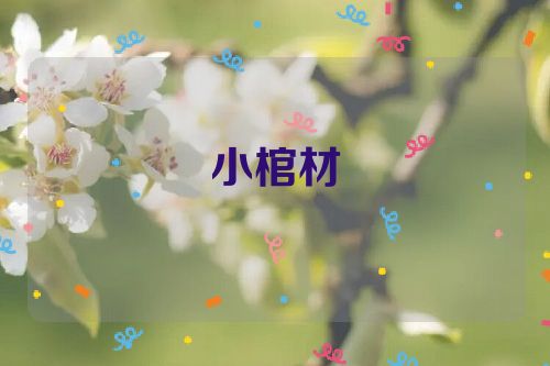 小棺材