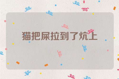 猫把屎拉到了炕上